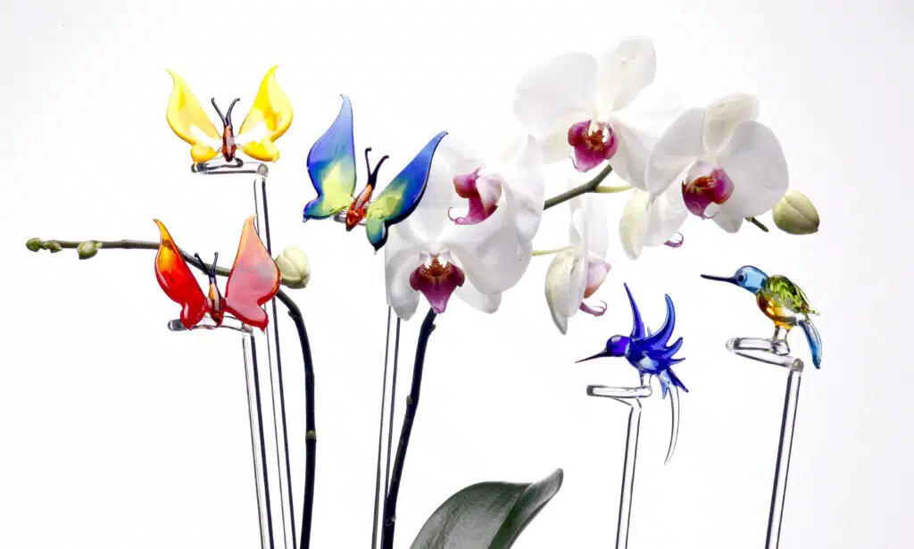 Orchideenstäbe mit Schmetterlingen, Eisvogel und Kolibri an weisser Orchidee