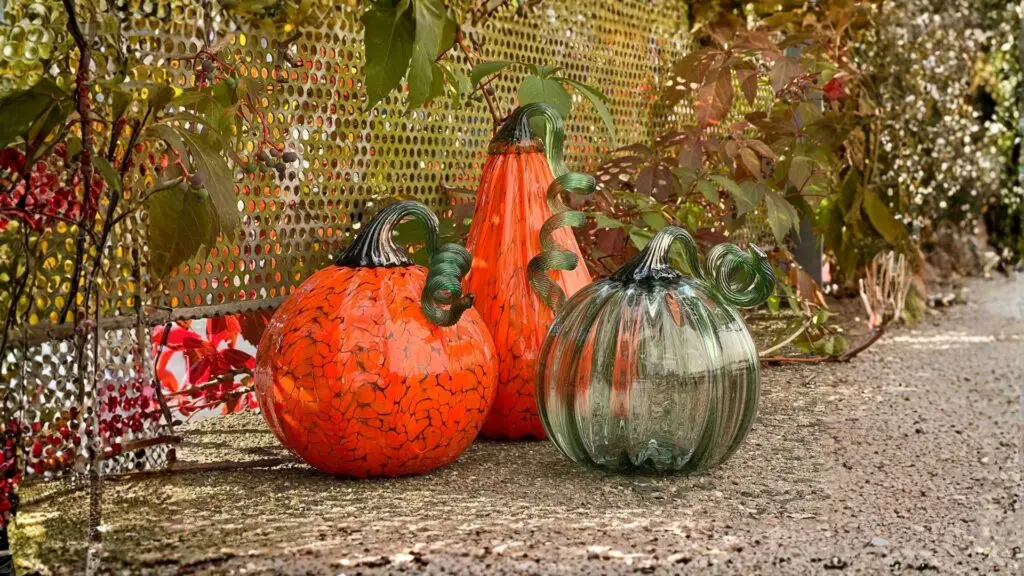 Glaskürbis: 1 rund orange und 1 flaschenförmig mit grünem Ansatz sowie ein durch sichtige grüner aus Thüringer Waldglas präsentiert auf Setin vor rankendem grünem Laub.